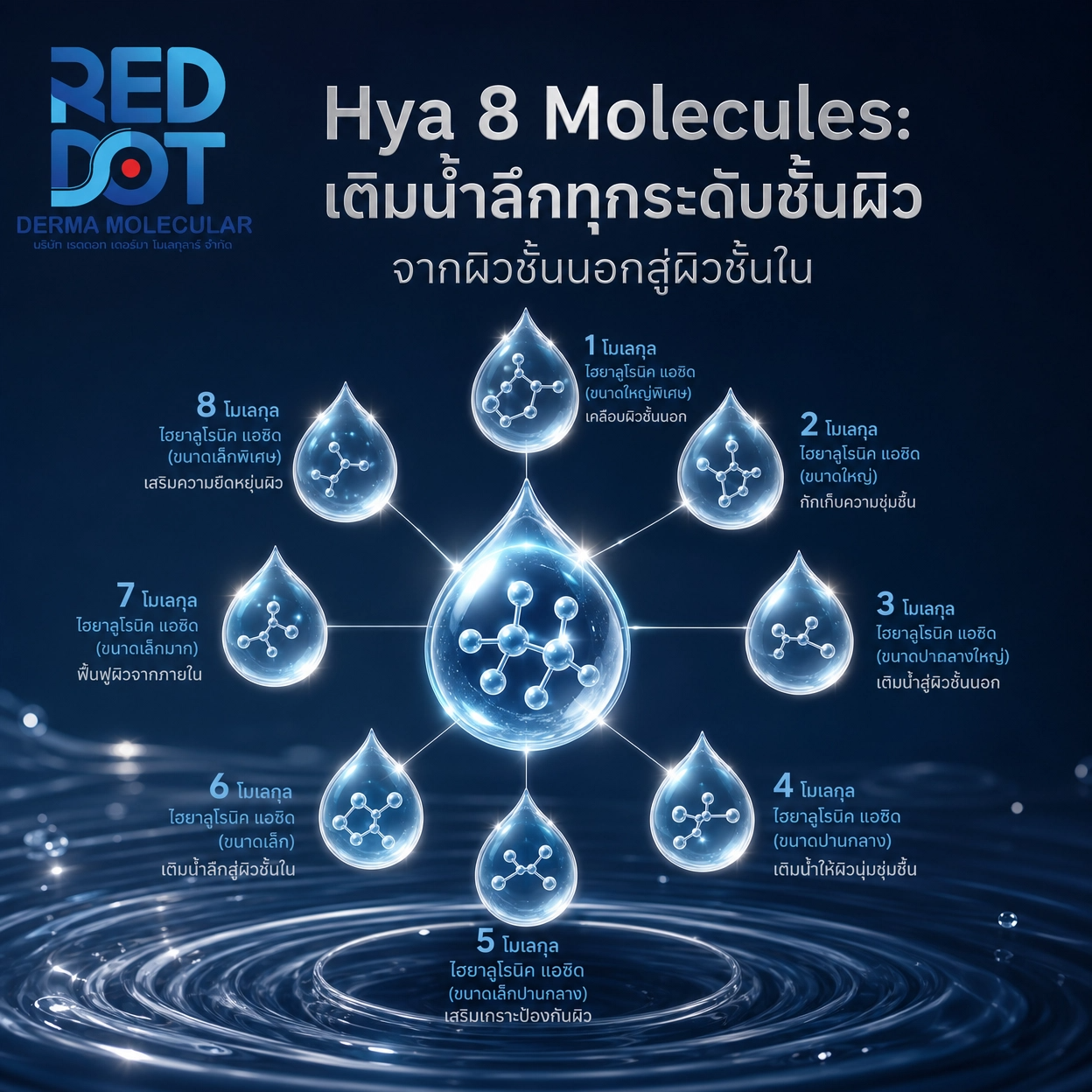 Hyaluronic Acid ไฮยาลูโรนิก แอซิด สารสกัด สกินแคร์ OEM Reddot